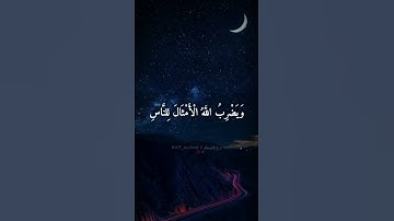 نُّورٌ عَلَىٰ نُورٍ ۗ يَهْدِي اللَّهُ لِنُورِهِ مَن يَشَاءُ ۚ - بصوت القارئ شريف مصطفى