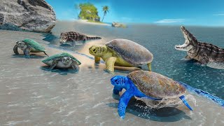 Wild Turtle Family Simulator (by Max Games Production) Android Gameplay screenshot 5