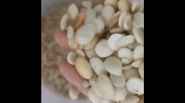 Color sorter machine for fruit seeds sorting nut color sorting