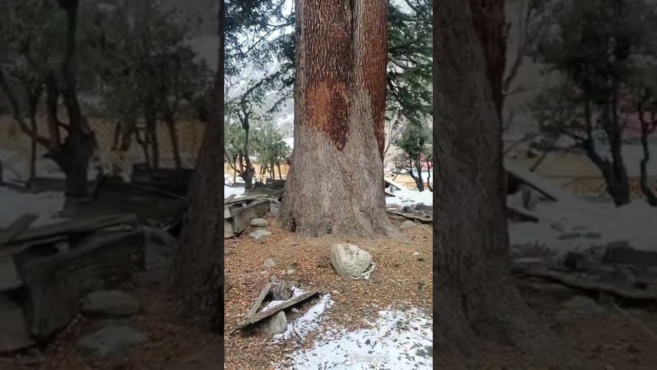 Kalash/Bamburat Qabristan.