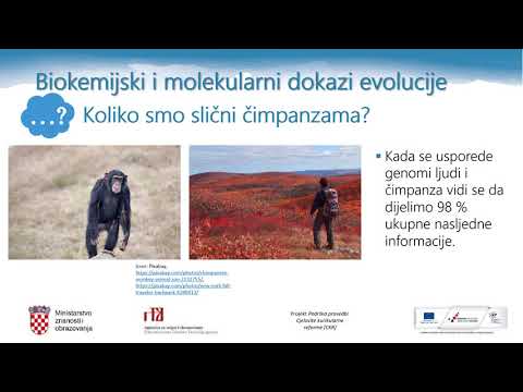 Video: Koja je razlika između apsolutne i relativne dobi?