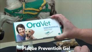 Dental Care for Pets: A Full Circle Veterinary Care Instructional Video