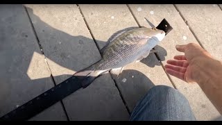 Pier Fishing! This Could Catch Anything! Рыбалка на пирсе: здесь можно поймать что угодно!