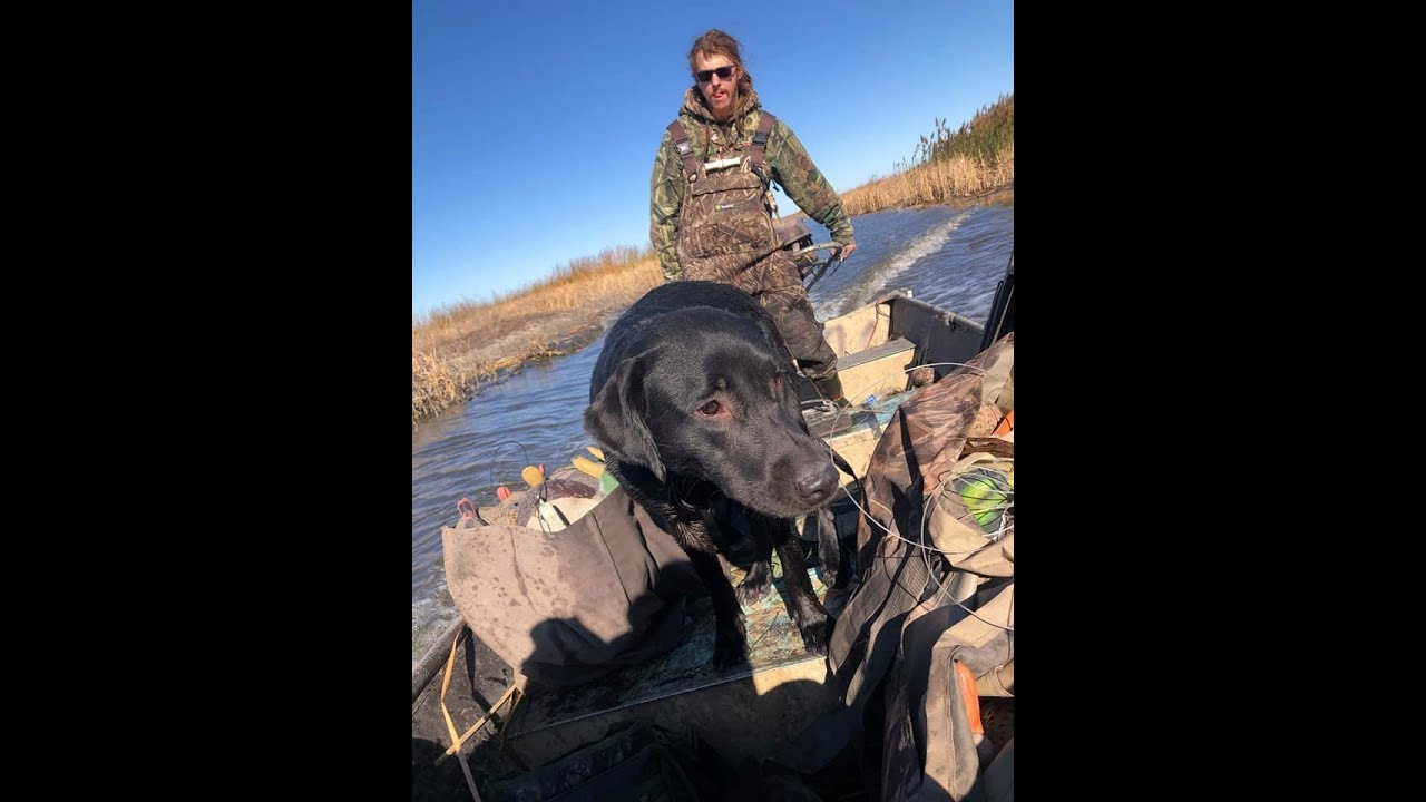 public land duck hunt YouTube