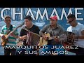 MARQUITOS JUAREZ y sus amigos - #CHAMAME en vivo [PAMPA AVILA]