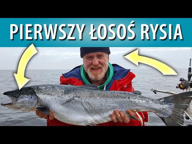 Wyprawa na łososie - pierwszy łosoś Ryszarda...