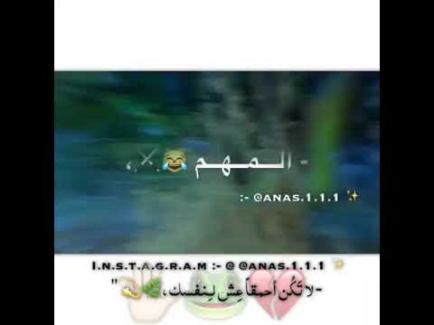 ابو طلال ادعس