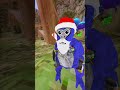 SUBSCRIBE! #gorillatag #gorillatagquest #gtag #vr #jamancurly #funny #gorillatagvr #gorillatagvr