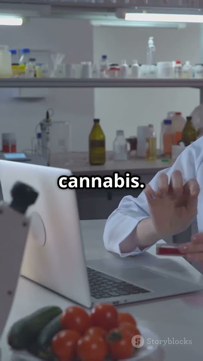 Haribo CANNABIS Scandal! Sweets Recalled in Netherlands 🚨