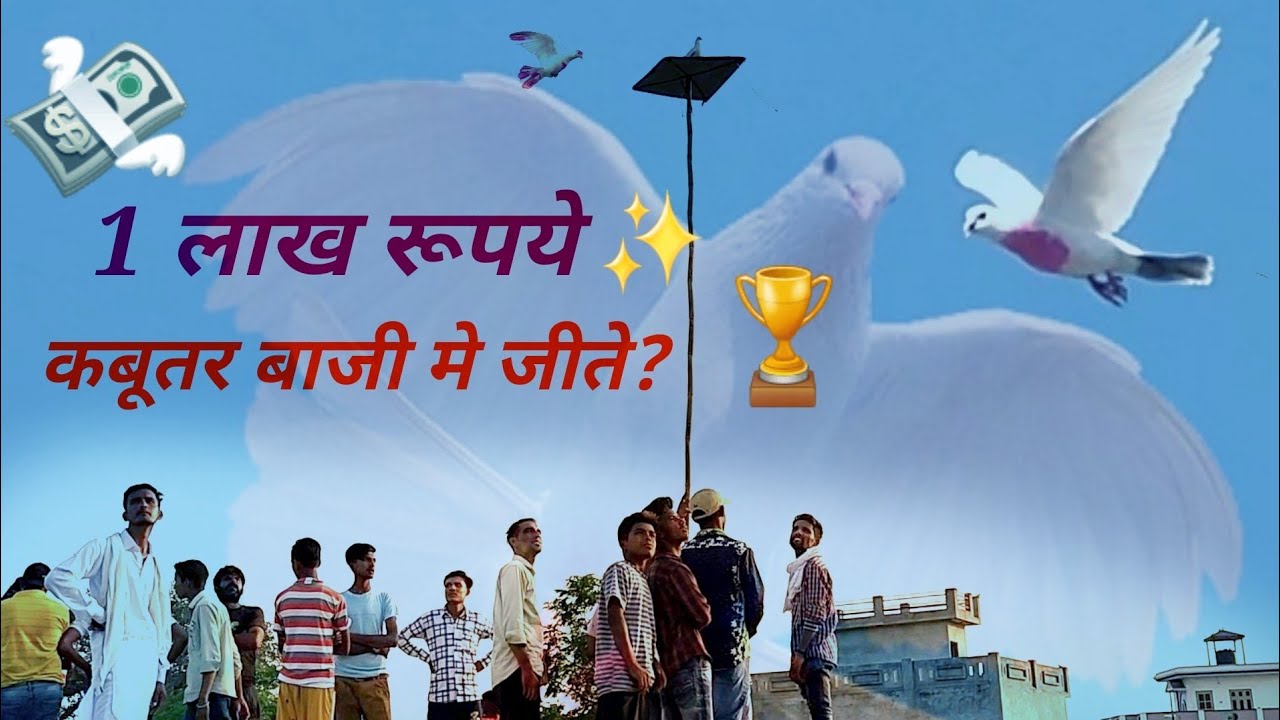 Tournament // Pind Kolhapur Haryana  // Kabootar Bazi Panjabi Song Video // Babbu mann