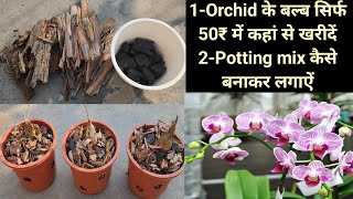 where to buy Orchid plant in cheapest price/How to make potting mix for orchid at home