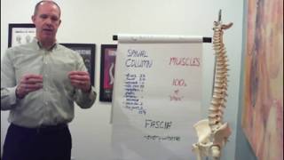 Back Pain/Spinal Pain Solutions - Axis Chiropractic - 905-852-9700