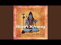 Shivas morning