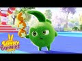 Золотые шарики | Sunny Bunnies | Мультфильмы для детей | WildBrain Россия