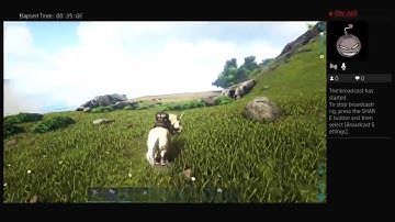 Ark Ps4 Pro Day 1 tutorial let