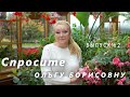 Спросите Ольгу Борисовну № 2