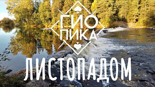 Гио Пика - Листопадом (2023) 🍂🍁 #швеция🇸🇪