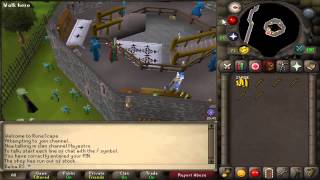 800 H Old School RuneScape Money Making guide 2007