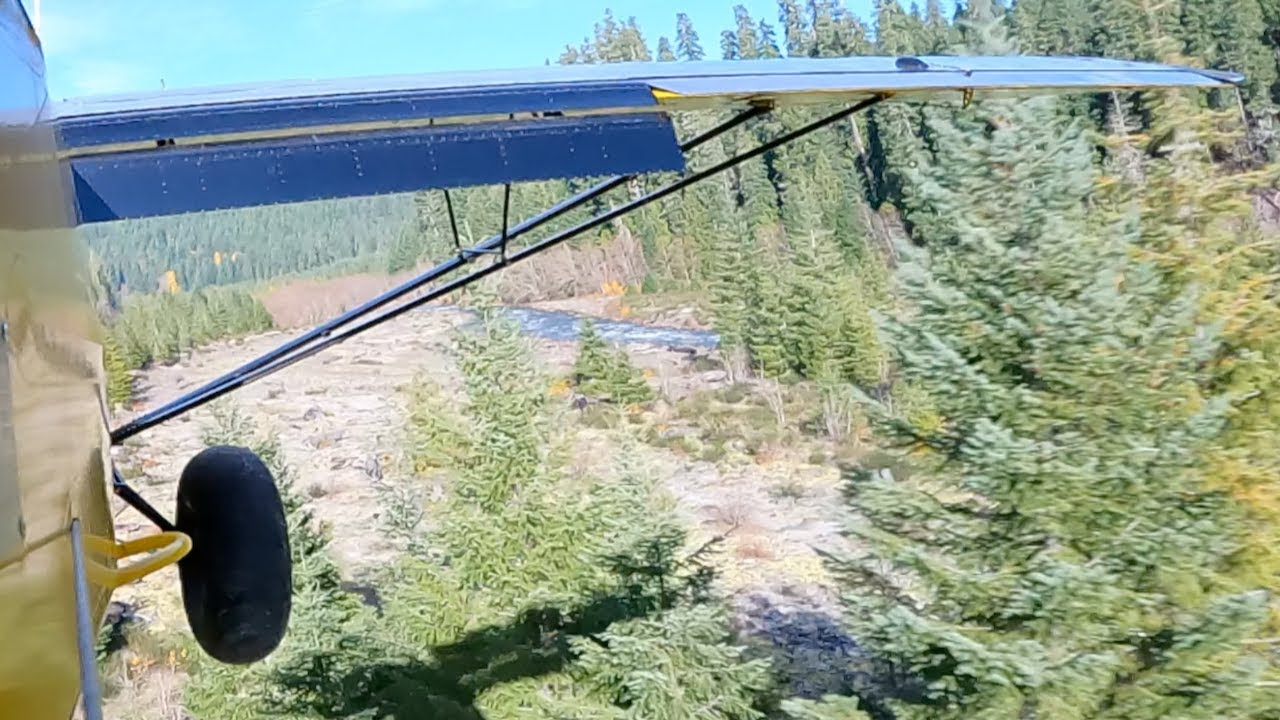 Обрезка деревьев? 2,3 миллиона просмотров, людям должно понравиться!