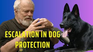 Escalation in Dog Protection