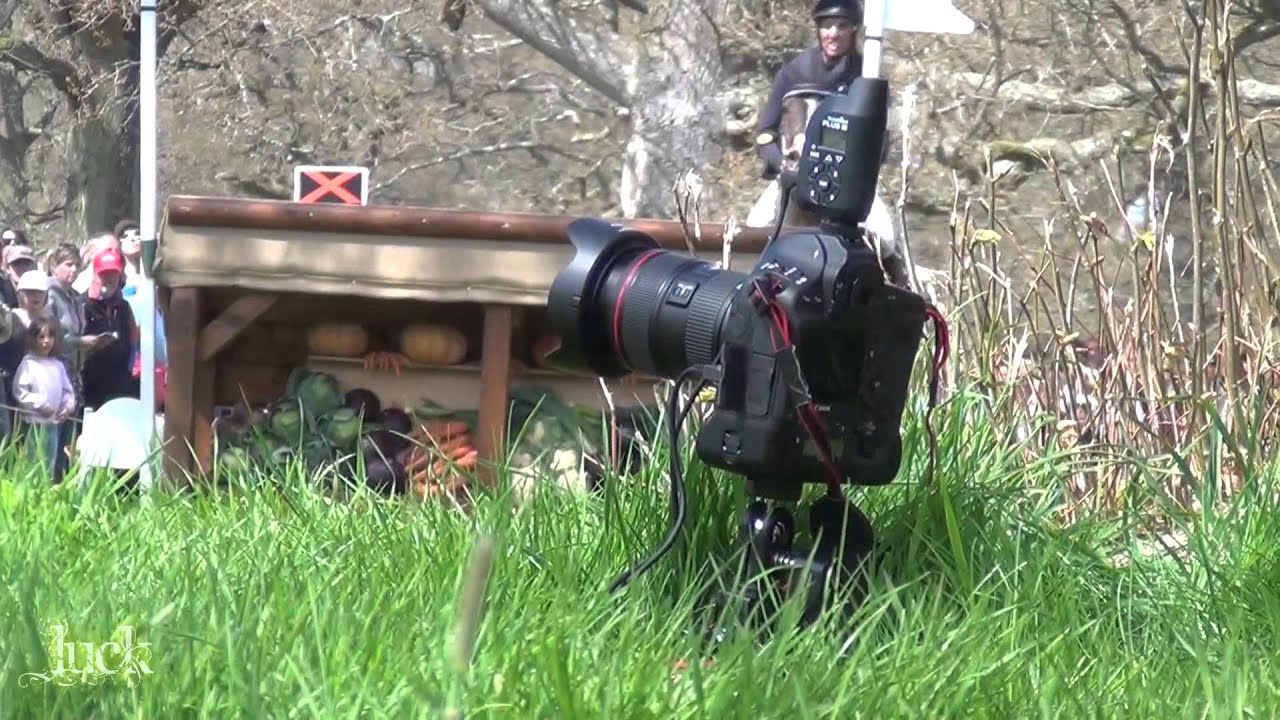 Eventing Cinema 2013 *PLEASE WATCH IN 1080pHD*
