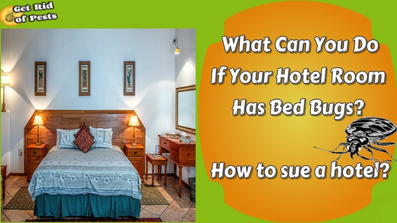 Can You Sue A Hotel If They Have Bed Bugs Bed Western