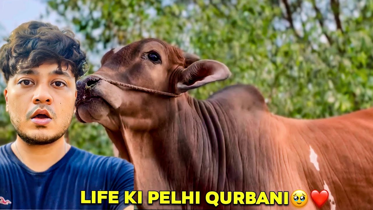 FINALLY JANWAR KHARED LIA 2025 | NORTHERN MANDI | LIFE KI PELHI QURBANI🥹❤️