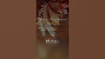 قرآن بصوت جميل ونبره هادئه ومنظر مريح تلاوة من سورة النساء 🥹♥