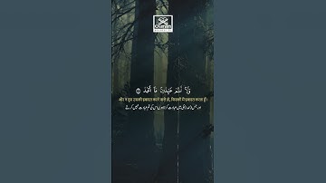 Surah Al-Kafirun (سورة الكافرون) with English Translation