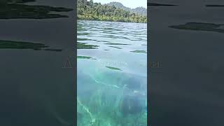 Main ke pulau ungge