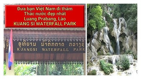 Kuang Si Thác nước đẹp nhất bạn nên đến thăm một lần khi ở Lào | Khám phá Việt Lào