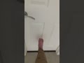 Yall actually still believe in gravity #funny #comedy #cleantok #momlife #relatable #trending