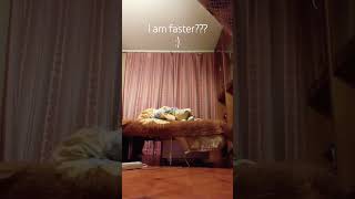 I am faster? :)