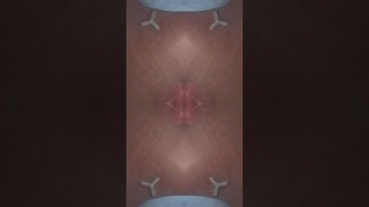 Mylz. Chrym  T.  Claudio.