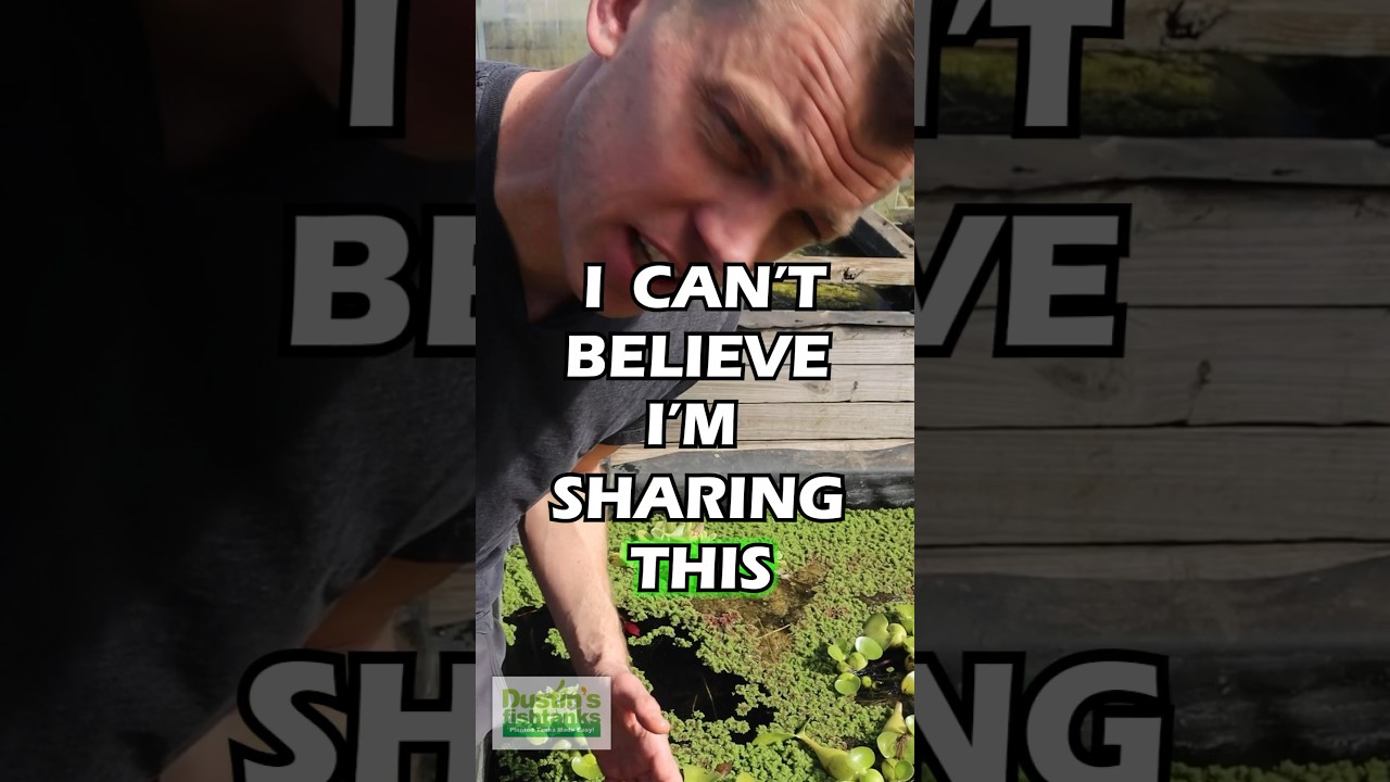 CAN’T BELIEVE I’M SHARING THIS & THIS IS NASTY, but This Is Where The