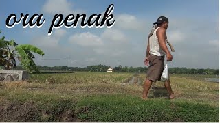 FILM PENDEK - ORA PENAK - DRAMA KOMEDI JAWA LUCU