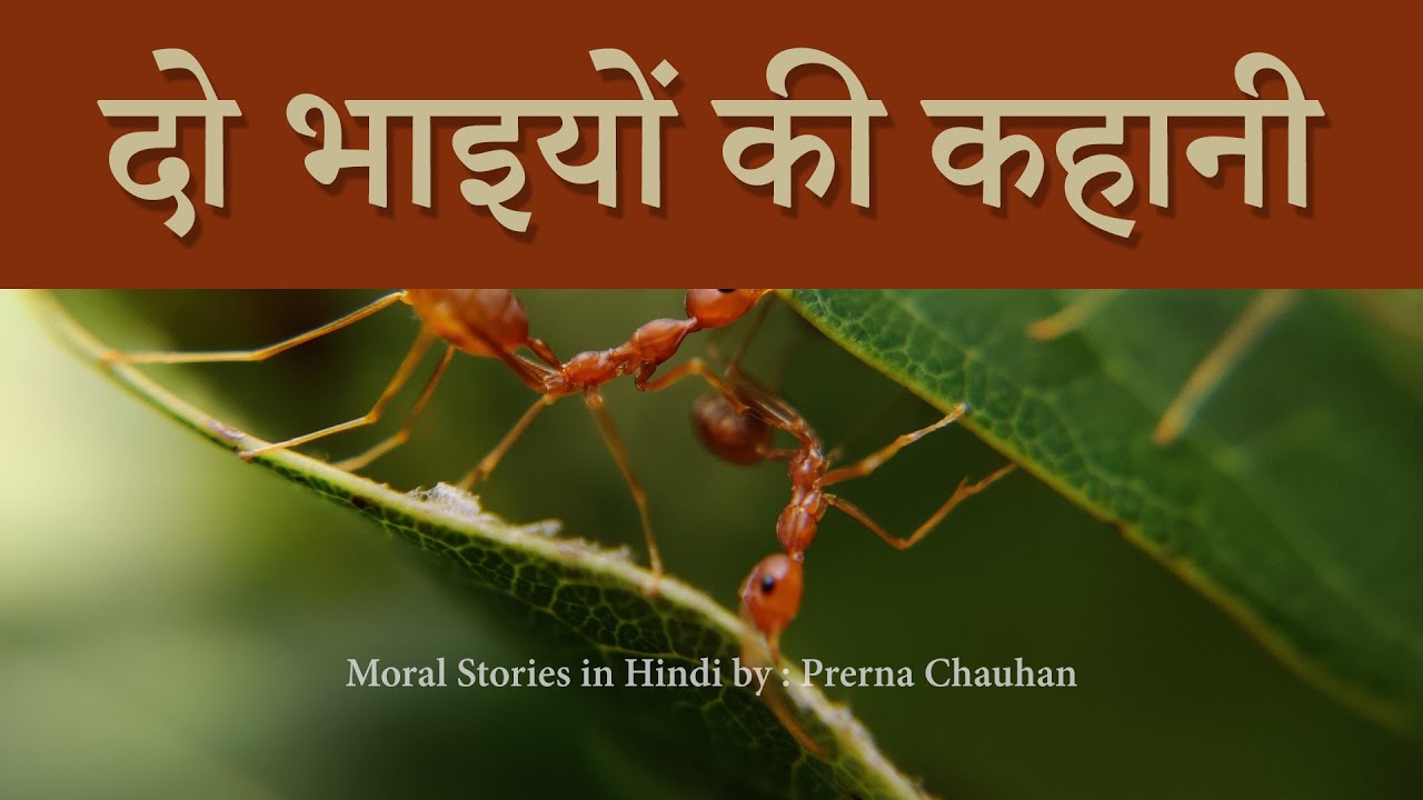 दो भाइयों की कहानी The Story of Two Brothers in Hindi Moral Stories