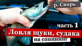 Это просто Джек пот! Рыбалка и Ловля щуки и судака на спиннинг на воблер