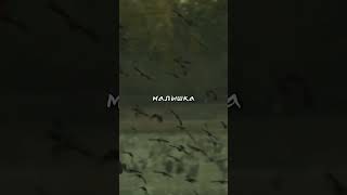 Трек: Dead In Infancy - Моя маленькая подружка