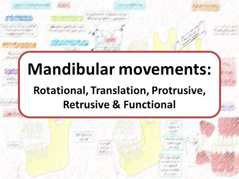 Mandibular movements: Rotational, Translational, Protrusive, Retrusive & Functional