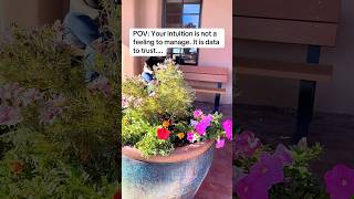 POV: Your intuition is not a feeling to manage. It is data to trust.She already knew. She just….