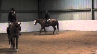 Troy- Apha Solid Paint For Sale In The Pa, Nj Area This Month