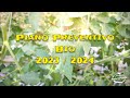 Piano Interventi Preventivo Bio 2023 / 2024 Coltivazione Ortaggi