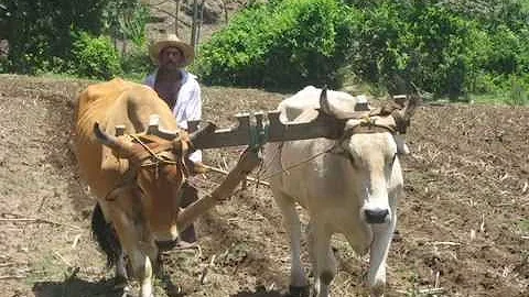 EL BARZON CON LUIS PEREZ MEZA