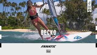 Fanatic Gecko 2019