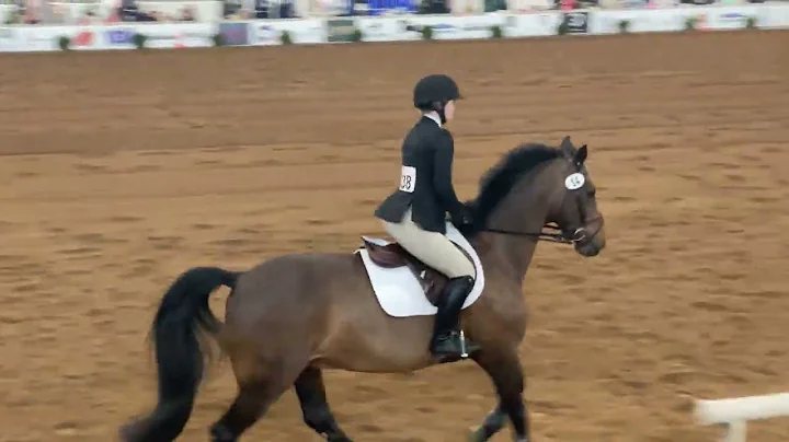 Nationals 2022 - Sara Hearn - Cacchione Cup Flat
