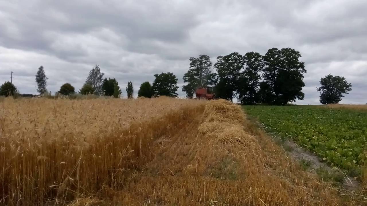 Нива ск-5м1 продам 0992639397 - YouTube