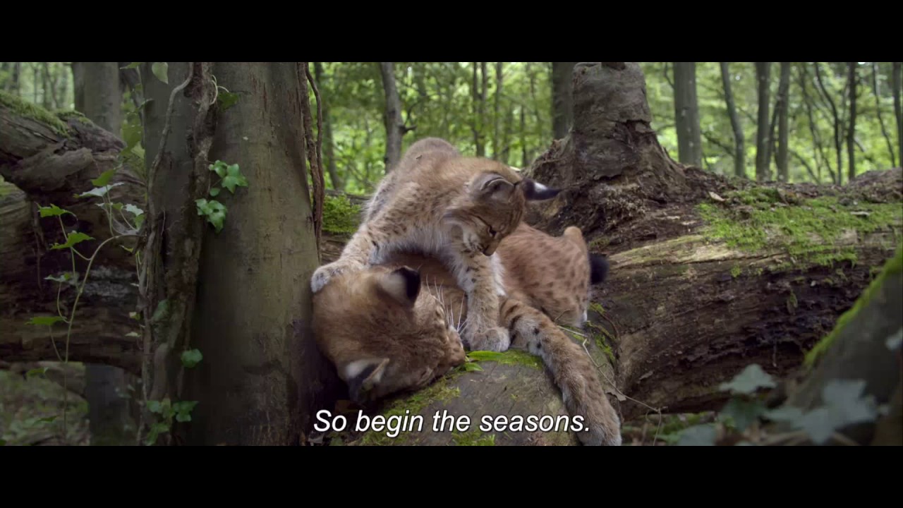 Времена года | Les saisons | Трейлер | 2015