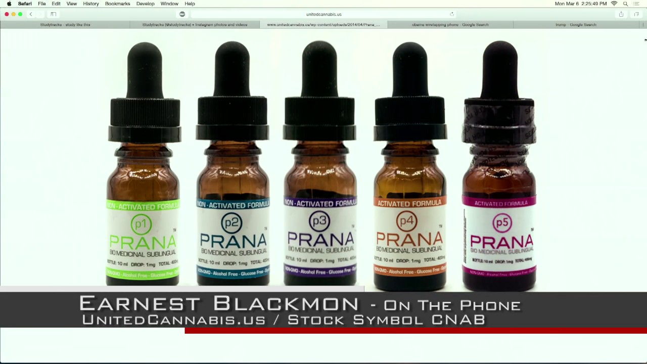 Earnie Blackmon - CEO of United Cannabis Corp [OTCBB:CNAB] interviewed on Big BIz Show