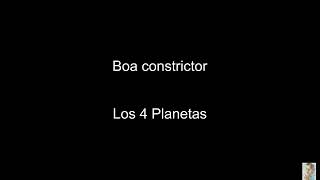 Boa constrictor (Los 4 Planetas) BT